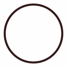 Junta tórica para la tapa del clorador automático en linea de 4 kg