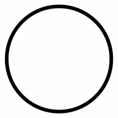 O-ring de 2.5" de diámetro, para el portafiltro blanco de 10" de largo